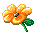 ✦